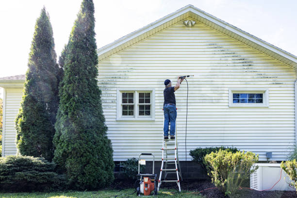 Paint Preparation in Laporte, CO
